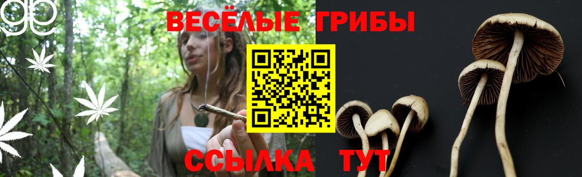 Кировск  Псилоцибиновые грибы прущие грибы  Вход с VPN 